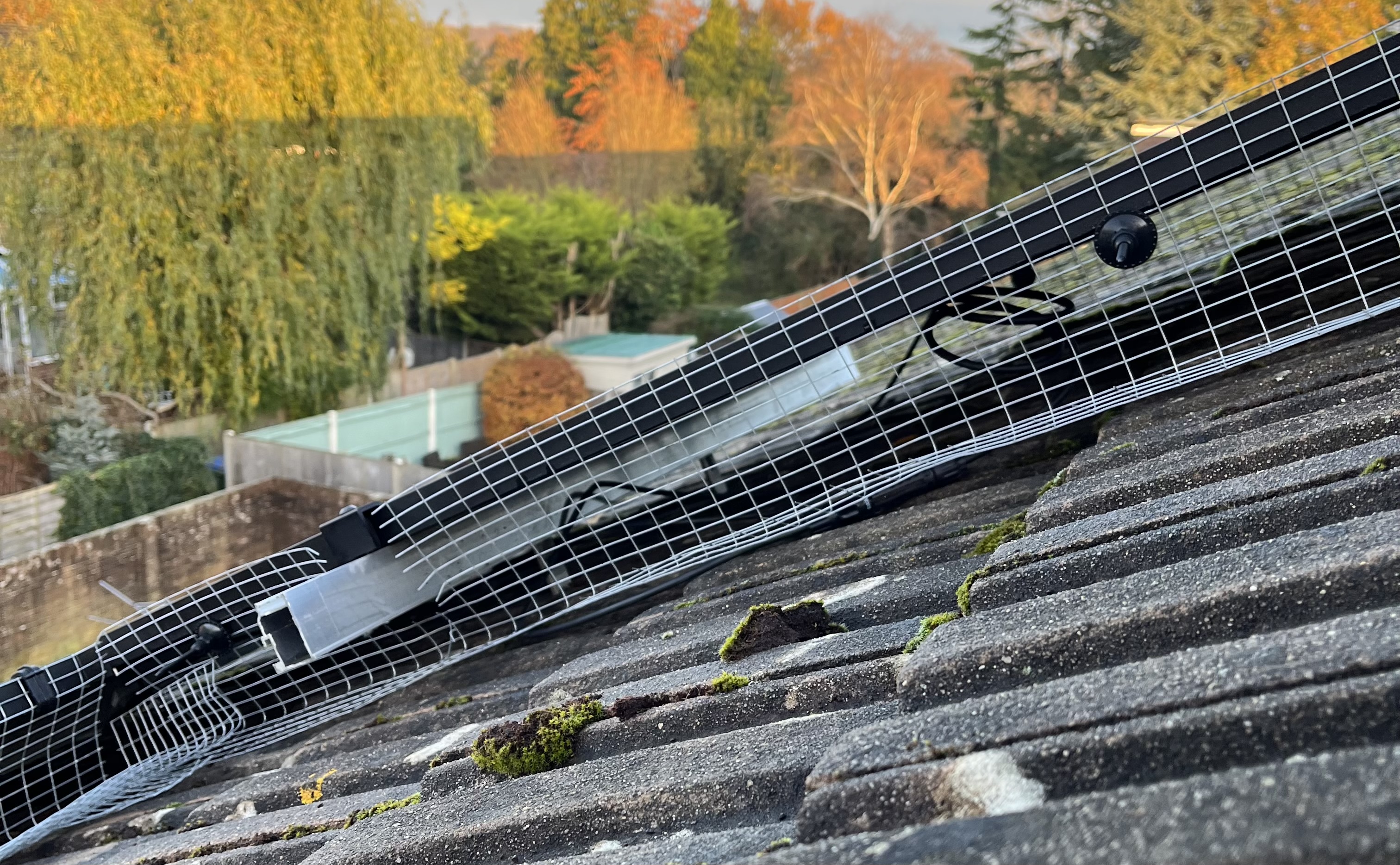 Bird Proofing solar panels in Shirley, Southampton
